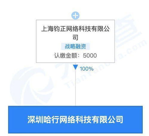 哈啰關聯公司在深圳設立新公司，拓展旅游與住宿服務